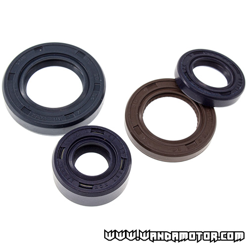 Lifan 125 oil seal kit